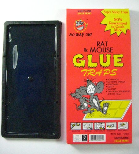 Rat And Mouse Glue traps